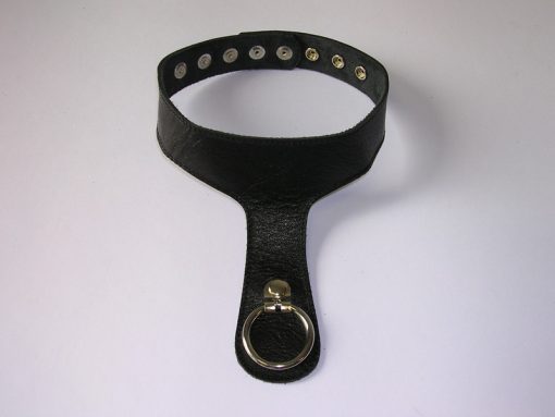Slaven halsband met ring - Leer #7554